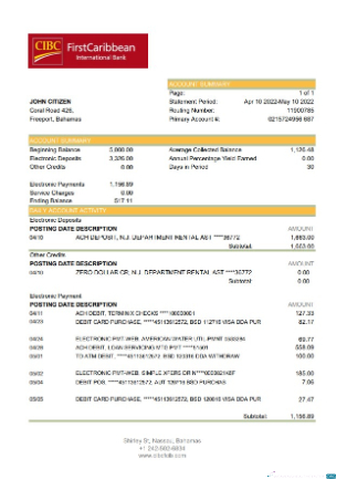 Download Bahamas FirstCaribbean International Bank bank statement excel Photoshop template